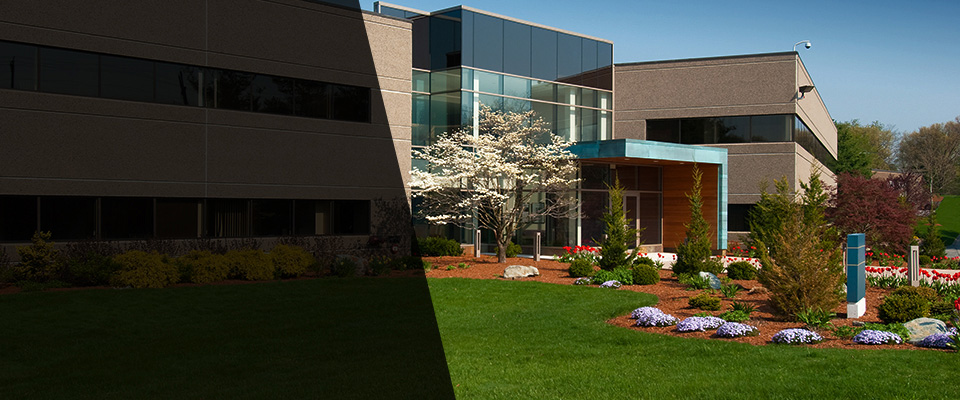 Palmyra Landscapers